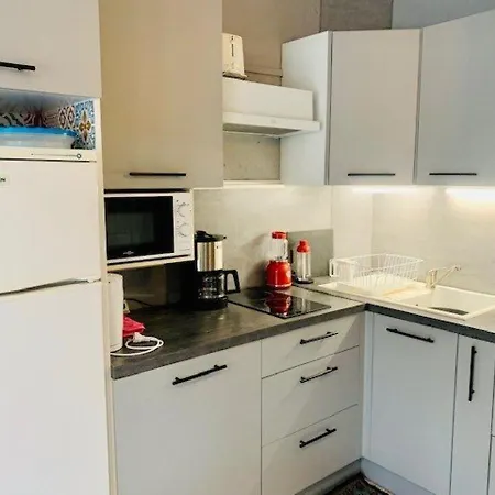 Pour Cure Avec Balcon, Parking Et Wifi A 2 Pas Des Thermes D'amelie-les-bains. - Fr-1-703-19 * 아멜리에레방팔랄다