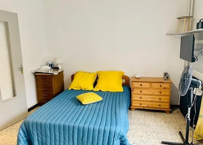 Pour Cure Avec Balcon, Parking Et Wifi A 2 Pas Des Thermes D'amelie-les-bains. - Fr-1-703-19 *