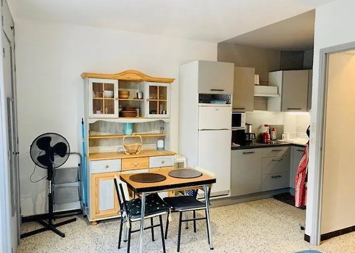 Pour Cure Avec Balcon, Parking Et Wifi A 2 Pas Des Thermes D'amelie-les-bains. - Fr-1-703-19 Lägenhet Amélie-les-Bains-Palalda